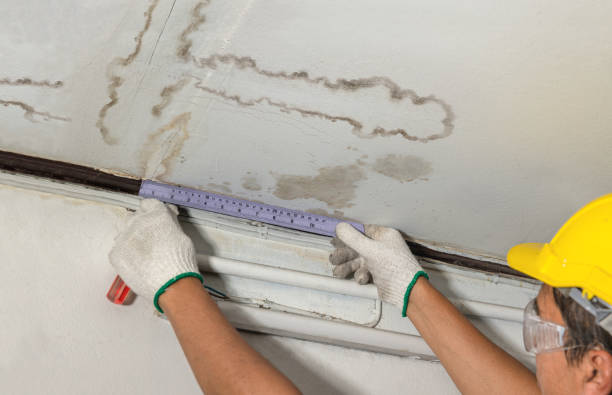 Reliable Mold Remediation contractor in Bentonville, OH by Water Damage Irwin
